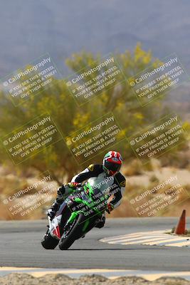 media/Apr-10-2022-SoCal Trackdays (Sun) [[f104b12566]]/Turn 5 Tree of Life (1040am)/